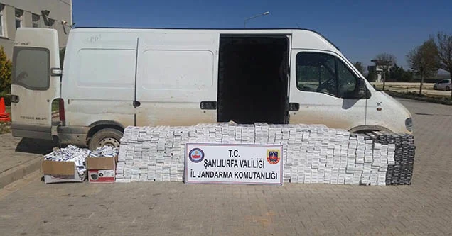 19 bin paket sigaraya 10 gözaltı