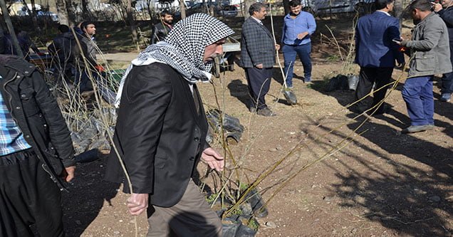 Siverek’te Halka Ücretsiz Fidan Dağıtıldı