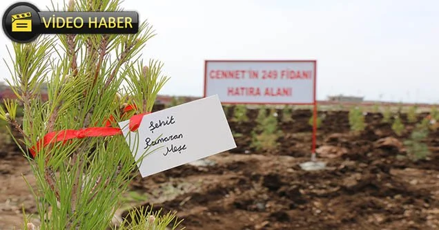 15 Temmuz şehitleri için fidan dikildi