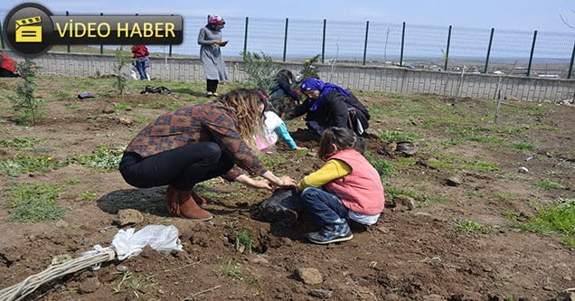 Engelli çocuklar köy okulunda fidan dikti