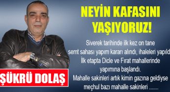 Neyin Kafasını Yaşıyoruz