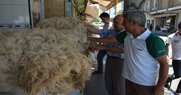 Yün çok, alan yok!
