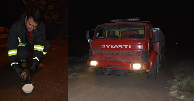 Kanala düşen yavru köpeği itfaiye kurtardı