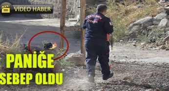 Alev alan piknik tüpü korkulu anlar yaşattı