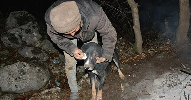 Günler sonra sevindiren haber… ‘Çimen’ kurtarıldı
