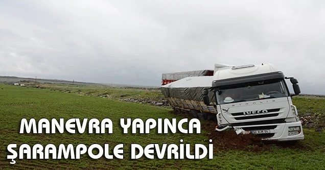 Gübre yüklü tır şarampole devrildi