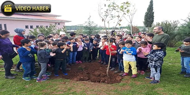 Minikler, öğretmenleriyle ağaç dikti