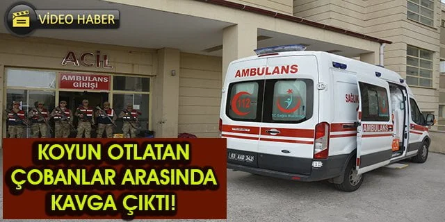Koyun otlatan çobanlar arasında kavga çıktı!