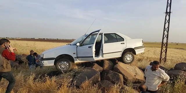 Görenler şaşkına döndü!