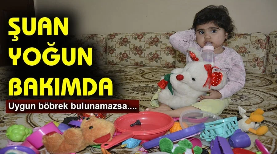 Minik Yıldız böbrek bekliyor!