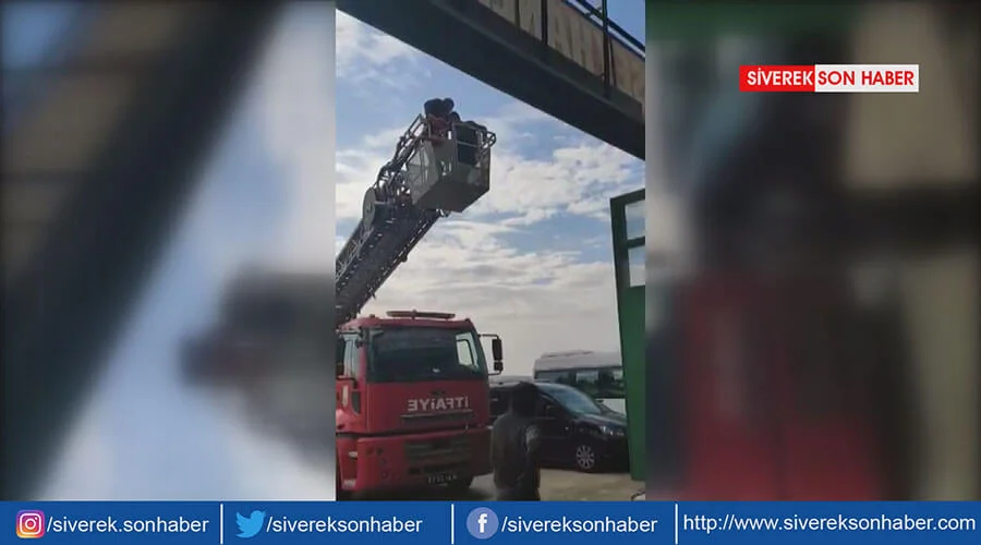 Mahsur kalan güvercini itfaiye kurtardı