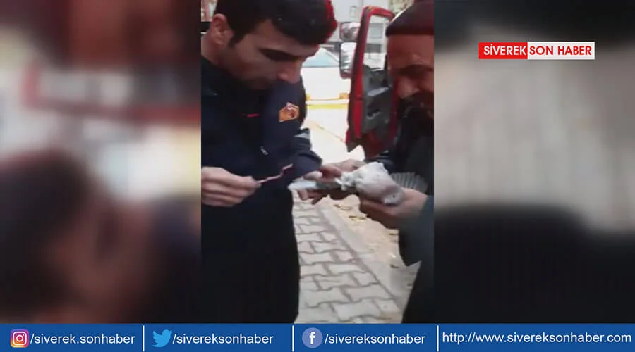 Mahsur kalan kumru itfaiye ekiplerince kurtarıldı