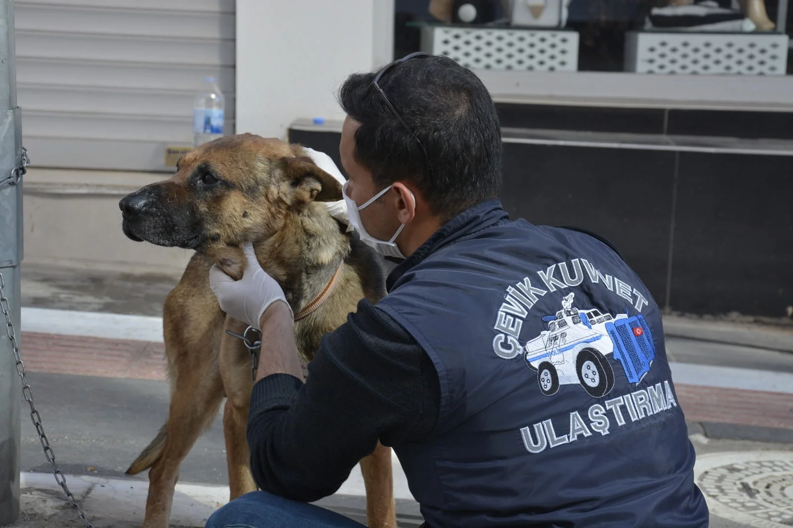 Aç ve susuz kalan köpeğe polis sahip çıktı!