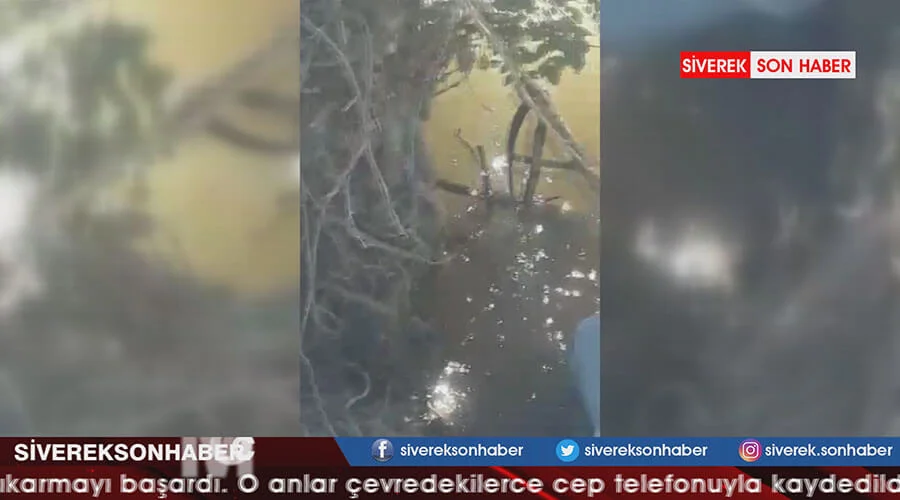 Balıkçı ağına takılan yılanı kurtarmak için uğraştılar
