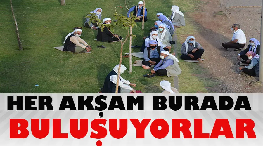 Bu da yaşlıların sosyal mesafeli sohbeti