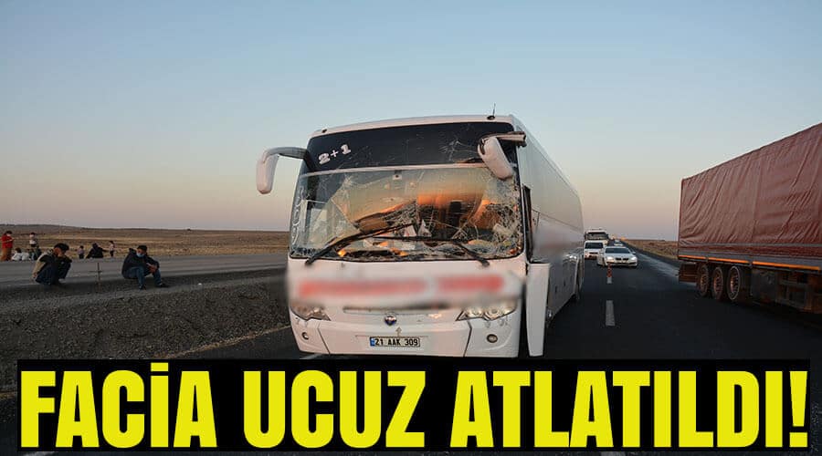 Facia ucuz atlatıldı!