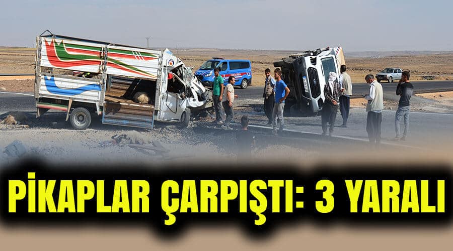 Küçükbaş hayvan yüklü pikaplar çarpıştı: 3 yaralı