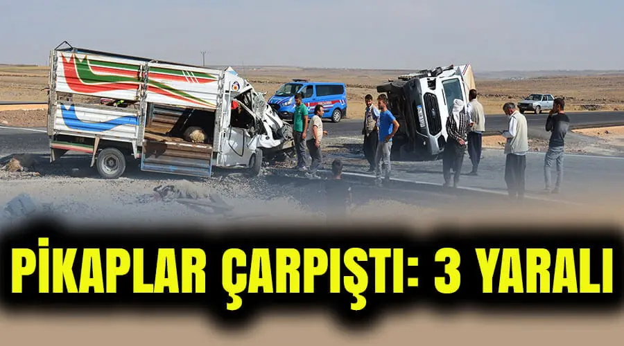 Küçükbaş hayvan yüklü pikaplar çarpıştı: 3 yaralı
