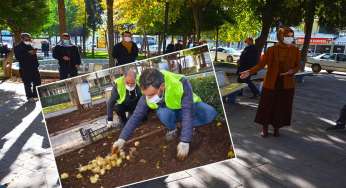 Siverek’i ‘ağlayan gelin’ süsleyecek