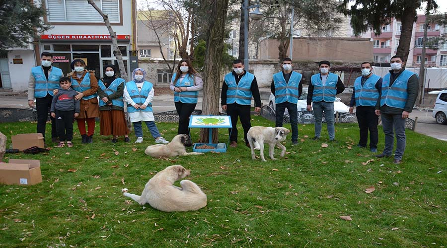 Siz ne güzel bir ekipsiniz…