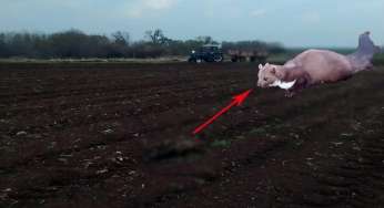 Siverek’te kaya sansarı görüntülendi