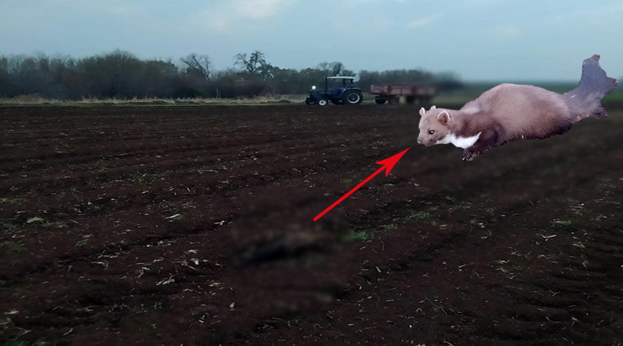 Siverek’te kaya sansarı görüntülendi