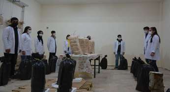 Okulun bodrum katında mantar yetiştiriyorlar