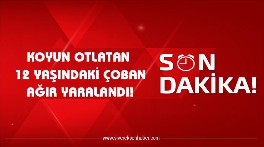 Koyun otlatan çocuk ağır yaralandı