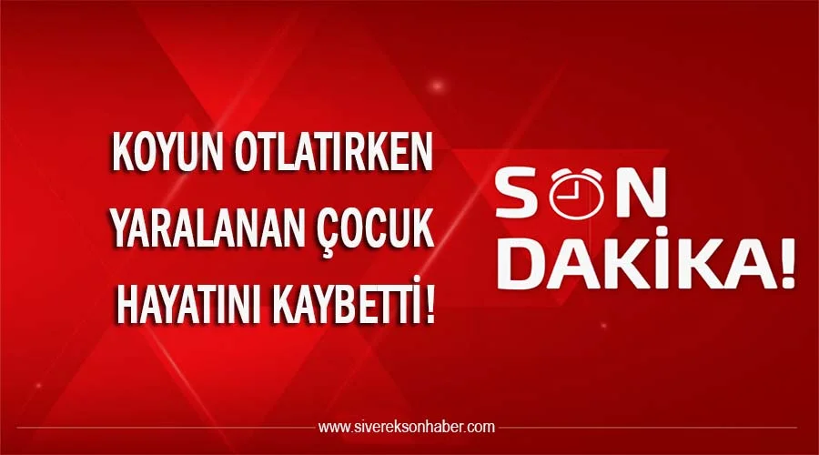 Koyun otlatırken yaralanan çocuk hayatını kaybetti!