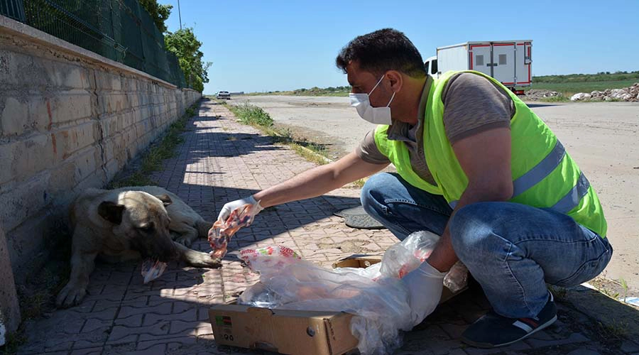Siverek Belediyesinden ‘ötenazi’ iddialarına yalanlama