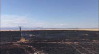 80 dönümlük buğday tarlası küle döndü!