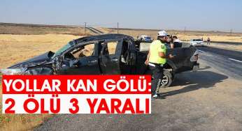 Kamyonet takla attı: 2 ölü 3 yaralı