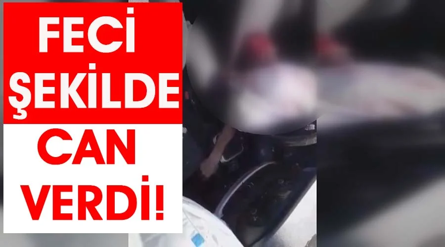 Otomobil sürücüsü feci şekilde can verdi!