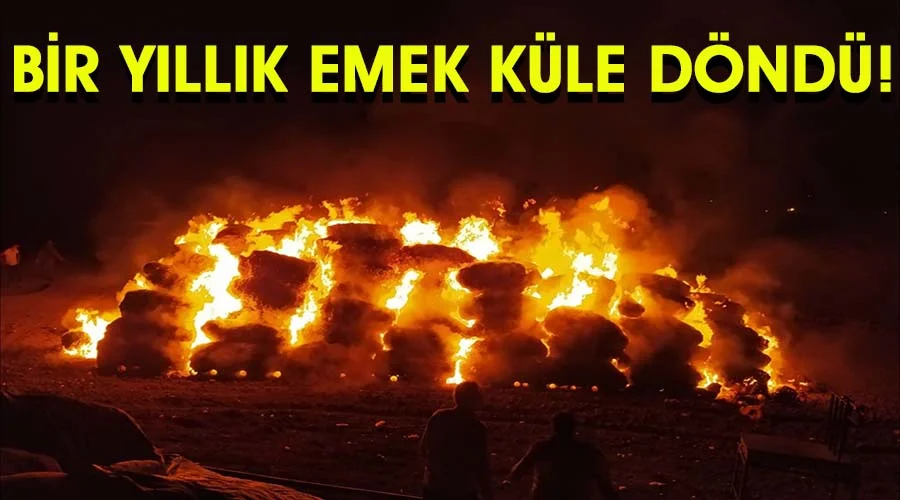 Çıkan yangında 25 ton pamuk zarar gördü!