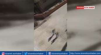 Doğalgaz borusu patladı, büyük panik yaşandı!