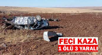 Otomobil şarampole devrildi: 1 ölü 3 yaralı