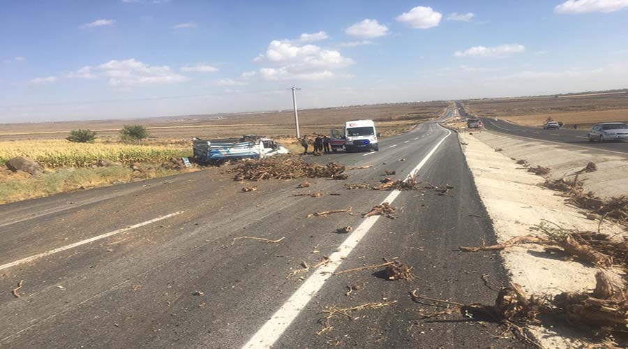 Pikap şarampole devrildi: 2 yaralı