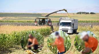 Hükümlüler cezalarını infaz ederken tarımsal üretime katılıyor