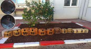 Otomobilinde keklik yakalanan kişiye işlem yapıldı