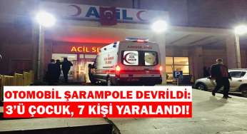 Otomobilin şarampole devrilmesi sonucu 7 kişi yaralandı!