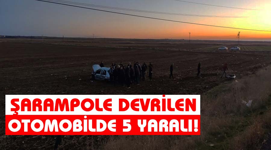Otomobilin şarampole devrilmesi sonucu 5 kişi yaralandı