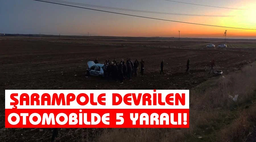 Otomobilin şarampole devrilmesi sonucu 5 kişi yaralandı