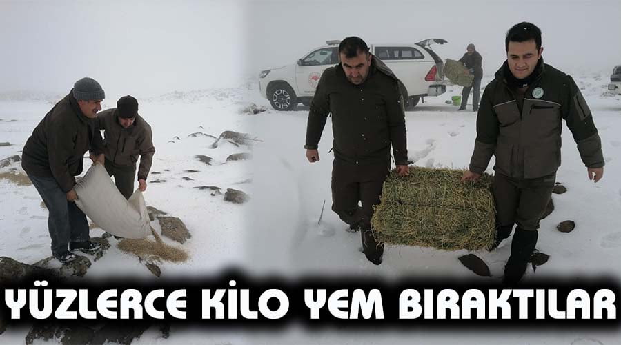 Yaban hayvanları için doğaya yem bırakıldı