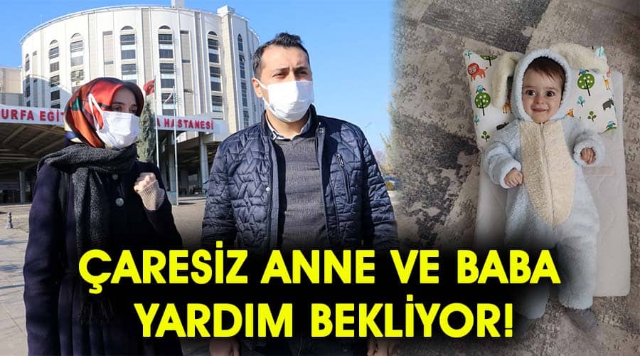 Çaresiz anne ve baba yardım bekliyor!