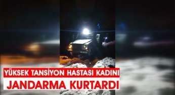 Yüksek tansiyon hastası kadını jandarma kurtardı