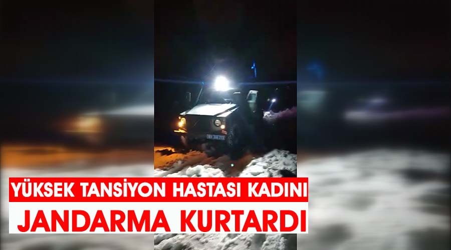 Yüksek tansiyon hastası kadını jandarma kurtardı