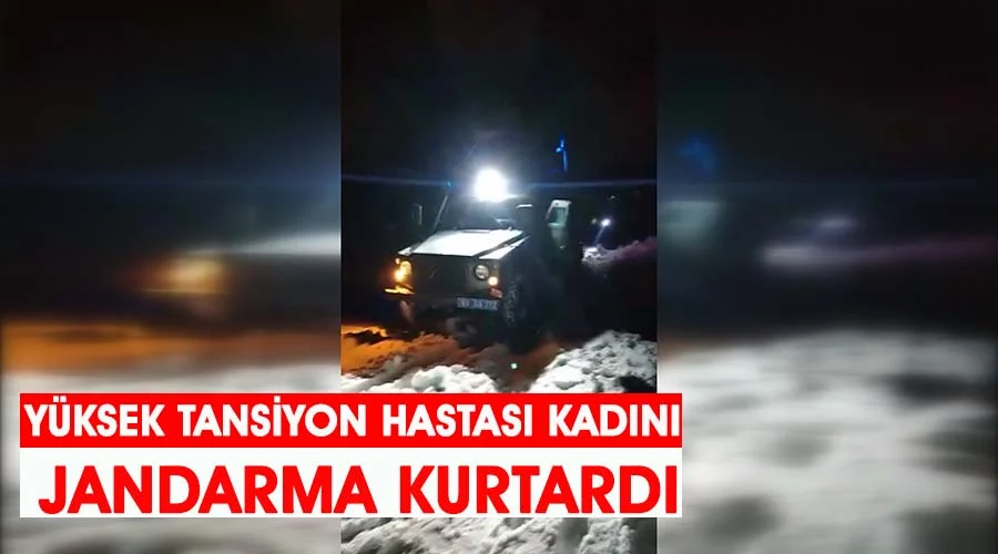 Yüksek tansiyon hastası kadını jandarma kurtardı