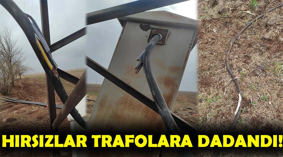 Hırsızlar çiftçilerin trafolarına dadandı!