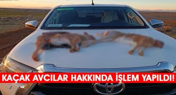 Kaçak avlanan 3 kişi hakkında işlem yapıldı