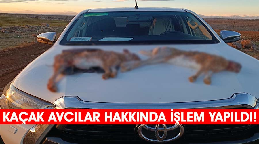 Kaçak avlanan 3 kişi hakkında işlem yapıldı